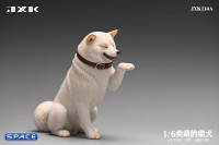 1/6 Scale Play Cute Shiba Inu (white)