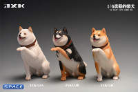 1/6 Scale Play Cute Shiba Inu (white)