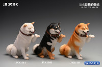 1/6 Scale Play Cute Shiba Inu (white)