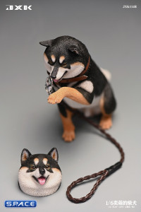 1/6 Scale Play Cute Shiba Inu (tricolor)