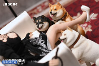 1/6 Scale Play Cute Shiba Inu (tricolor)