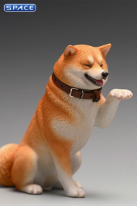 1/6 Scale Play Cute Shiba Inu (white/brown)