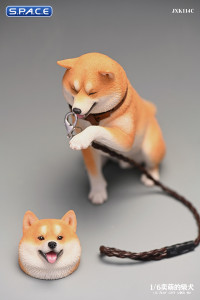 1/6 Scale Play Cute Shiba Inu (white/brown)