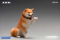 1/6 Scale Play Cute Shiba Inu (white/brown)