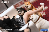 1/6 Scale Play Cute Shiba Inu (white/brown)