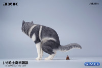 1/6 Scale Siberian Husky Half Squat (black)