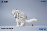 1/6 Scale Siberian Husky Half Squat (grey)