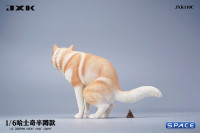 1/6 Scale Siberian Husky Half Squat (red)