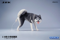 1/6 Scale Siberian Husky Leg Lift (black)