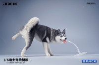 1/6 Scale Siberian Husky Leg Lift (black)