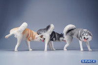 1/6 Scale Siberian Husky Leg Lift (black)