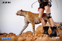 1/6 Scale Acinonyx Jubatus