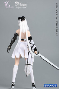 1/6 Scale Dragon Knight Maiden Clothing Set