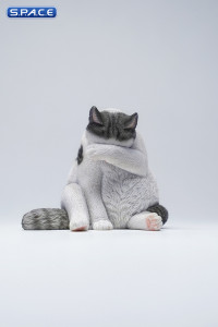 1/6 Scale Lazy Cat 6.0 (grey)