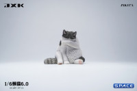 1/6 Scale Lazy Cat 6.0 (grey)