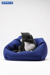 1/6 Scale Lazy Cat 6.0 (black)