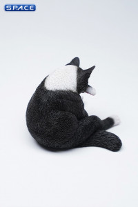 1/6 Scale Lazy Cat 6.0 (black)