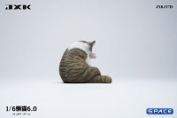 1/6 Scale Lazy Cat 6.0 (brown)