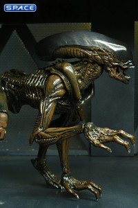 Complete Set of 2: Aliens: Fireteam Elite Series 1 (Aliens: Fireteam Elite)