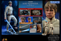 1/6 Scale Luke Skywalker Bespin Deluxe Version DX25 (Star Wars)