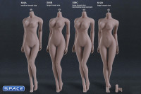1/6 Scale Seamless Female suntan Body middle breast / headless (Super-Flexible)