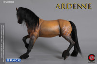 1/6 Scale Ardenne Horse (brown)