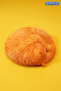 1/6 Scale sleeping Cat (red)