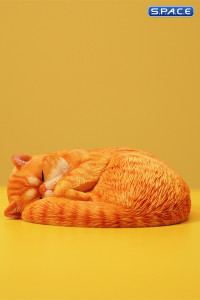 1/6 Scale sleeping Cat (red)