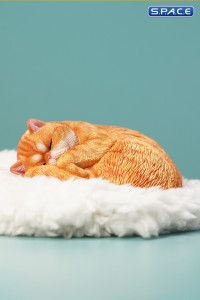 1/6 Scale sleeping Cat (red)