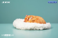 1/6 Scale sleeping Cat (red)