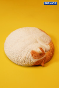 1/6 Scale sleeping Cat (red/white)