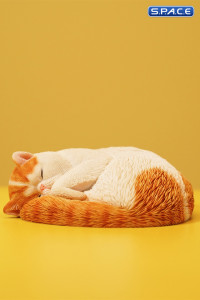 1/6 Scale sleeping Cat (red/white)