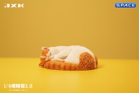 1/6 Scale sleeping Cat (red/white)