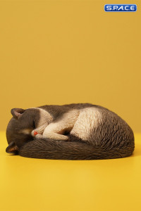 1/6 Scale sleeping Cat (grey)