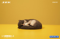 1/6 Scale sleeping Cat (grey)