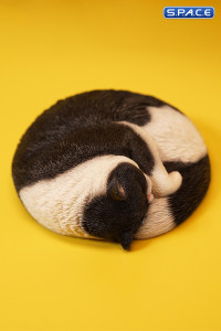 1/6 Scale sleeping Cat (black)