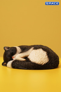 1/6 Scale sleeping Cat (black)