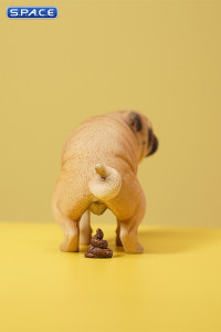 1/6 Scale half squatting Pug (brown)
