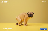 1/6 Scale half squatting Pug (brown)