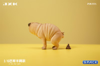 1/6 Scale half squatting Pug (brown)