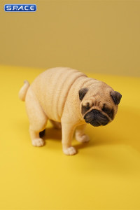 1/6 Scale half squatting Pug (white)