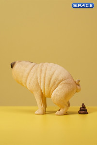 1/6 Scale half squatting Pug (white)