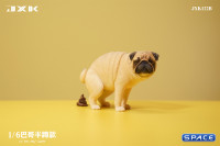 1/6 Scale half squatting Pug (white)