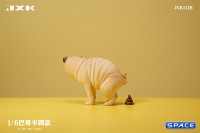 1/6 Scale half squatting Pug (white)