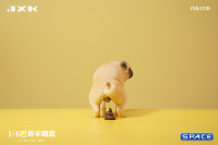 1/6 Scale half squatting Pug (white)