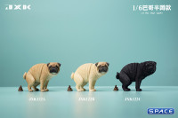 1/6 Scale half squatting Pug (white)