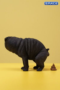 1/6 Scale half squatting Pug (black)