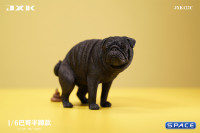 1/6 Scale half squatting Pug (black)