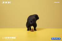 1/6 Scale half squatting Pug (black)