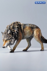 1/6 Scale North American Gray Wolf (brown)